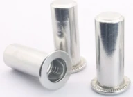 SS316 Flat Head Blind Pull - permezz tal-ġewż tal-irbattut